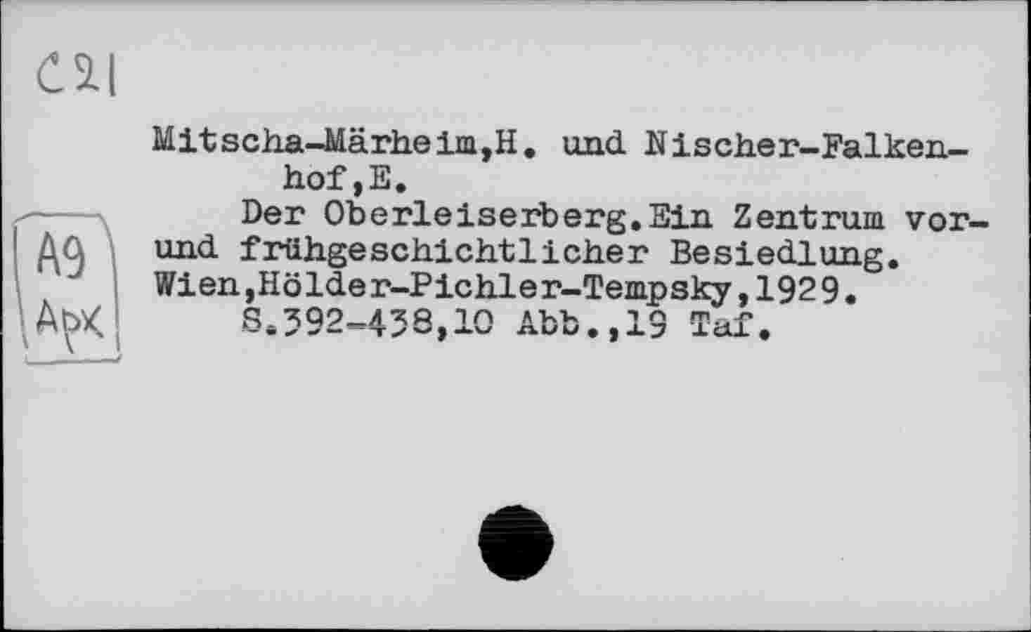 ﻿Mitscha-Märheim,H. und Nischer-Falkenhof, E.
Der Oberleiserberg.Ein Zentrum vor und frühgeschichtlicher Besiedlung. Wien,Hölder-Pichler-Tempsky,1929.
S.392-458,10 Abb.,19 Taf.